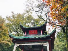 -岳麓山风景名胜区
