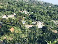 -广东惠东海龟国家级自然保护区