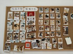 -是阿柴呀！柴犬咖啡·爱喵喵猫咖
