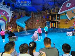 -烟台海昌鲸鲨海洋公园