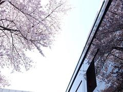 -南浦大桥长途旅游客运站