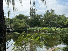 -秋霞圃