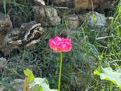 -莲池书院博物馆