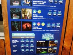 -怀托摩萤火虫洞