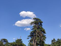-清西陵