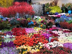 -双季花艺园艺市场(浦东店)