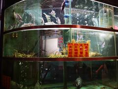 -福昌源食苑