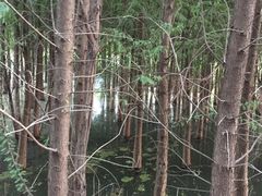 -呈贡滇池生态湿地公园