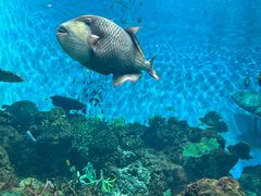 -鹿儿岛水族馆