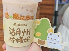 -猫的魔法密林(衣裳街店)
