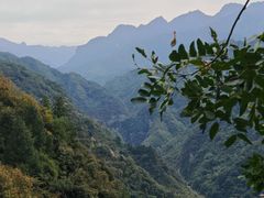 -沣峪森林公园龙潭戏水景区