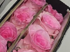-盒马鲜生(红莲店)