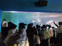 -常州海昌海洋探索馆