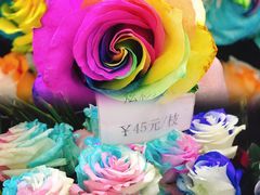 -荷兰花海