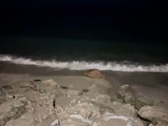 -日落吧·海景咖啡厅·餐酒吧·鸡尾酒·下午茶·乐队表演·浪漫夕阳·三亚文华东方酒店