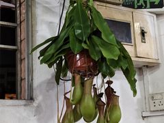 -兄妹生滚粥(广昌路店)