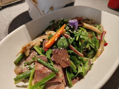 -秀儿四九城·新京菜(亚运村鸟巢店)