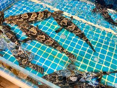 -韩记海鲜饺子旗舰店(红海新区店)