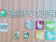 -瑞鹏宠物医院·内科·中兽医·骨科(苗圃店)