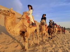 -嘉峪关城市博物馆