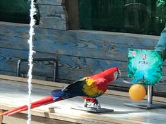 -南宫五洲植物乐园