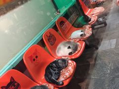 -猫咪博物馆(顶澳仔猫街店)