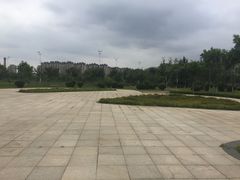 -丁香湖公园
