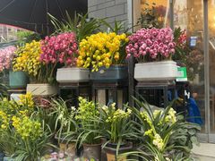 -青石桥花鸟鱼虫市场(叠翠城店)