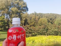 -潇河湿地公园