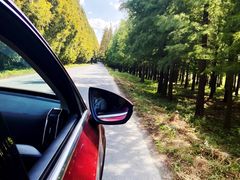 -南汇嘴观海公园