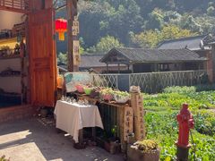 -荣发马店