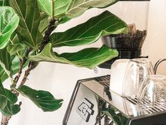 -red donkey coffee