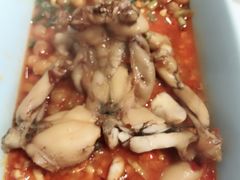 鲜活牛蛙-蛙两只美蛙鱼头火锅(恒茂店)