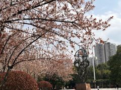 -龙头寺公园
