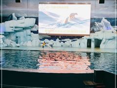 -福州罗源湾海洋世界旅游区