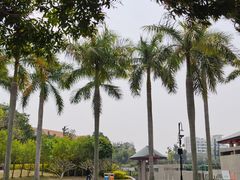 -厦门大学(思明校区)