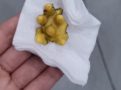 -贝利宠物医院·骨科·眼科·肿瘤转诊中心(南坪诊疗中心)