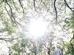 -西郊壹号