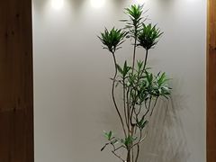 -鸥迪足道(湖南示范店)