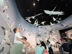 -中国湿地博物馆