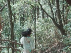 -梁野山景区