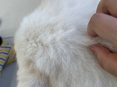 -怪兽屋·羊驼·猫咖·狗咖(俊华广场店)