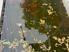 -后海公园