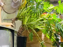 -孟林厨房(798店)