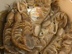 虾爬-苏大嘴海鲜牧场(奥林匹克店)