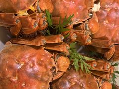 -杭州和达希尔顿逸林酒店·和园中餐厅