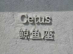 景点-上海佘山国家森林公园西佘山园