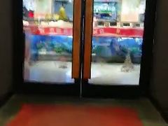 -街角等你.大连海鲜烧烤(西安路店)