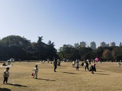 -青枫公园