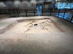 -洛阳周王城天子驾六博物馆